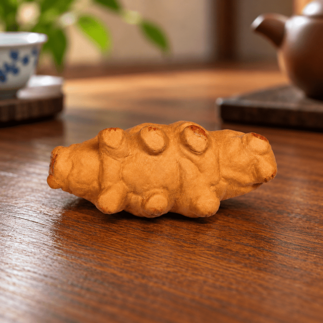 Little Water Bear Tardigrade – TNW Exclusive Handmade Yixing Clay Teapet - Tea and Whisk