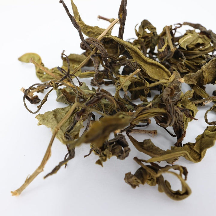 Master Huang Handpicked Yellow Tea - Tea and Whisk