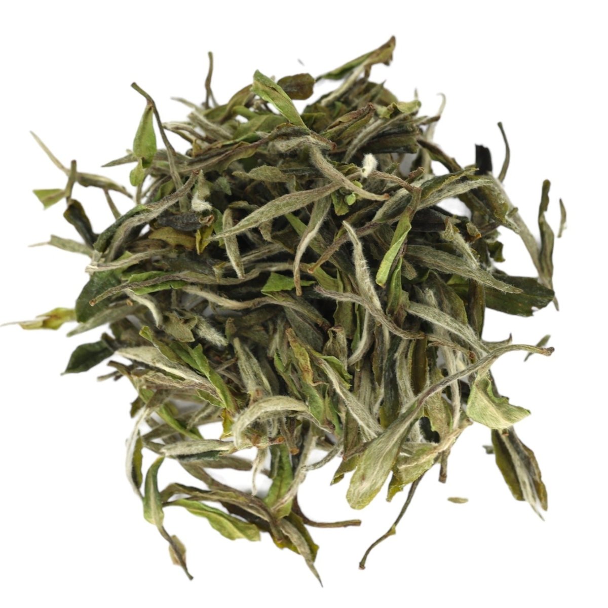 Master Wang Premium White Peony - Tea and Whisk