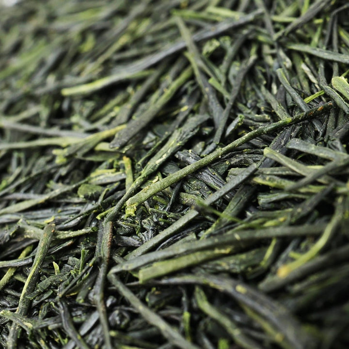 Miyazaki Single - Cultivar Haruto Shincha - Tea and Whisk