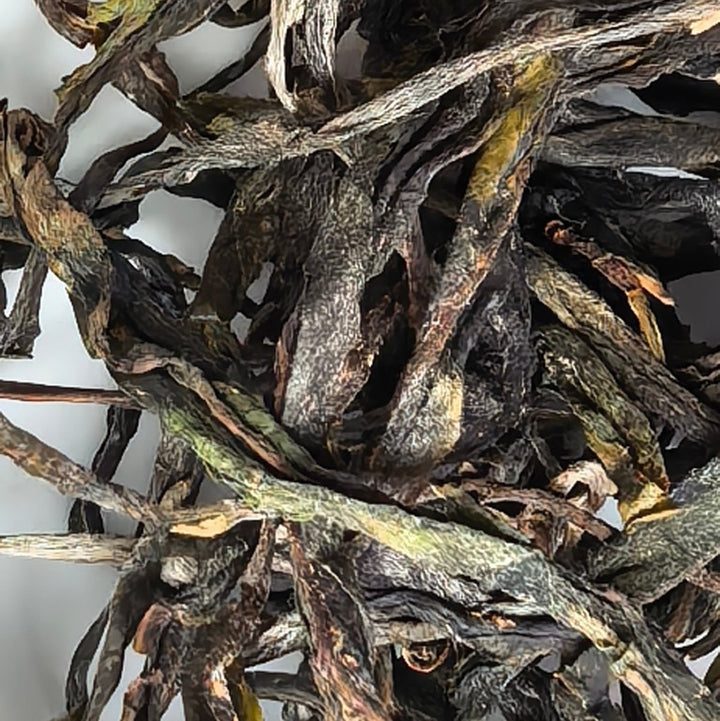 Motherland Ancient Tree Gushu Xigui Raw Puerh - Limited Batch - Tea and Whisk