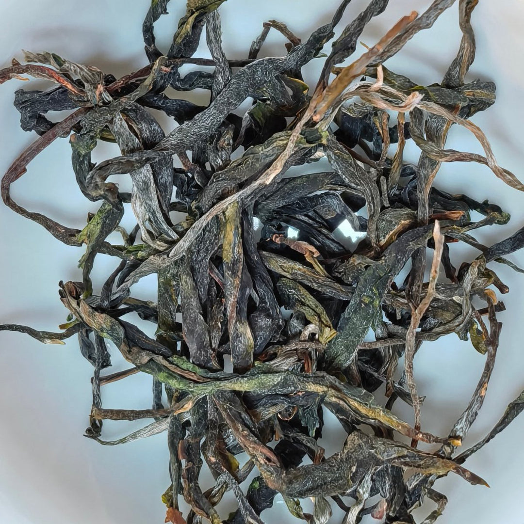 Motherland Ancient Tree Gushu Xigui Raw Puerh - Limited Batch - Tea and Whisk