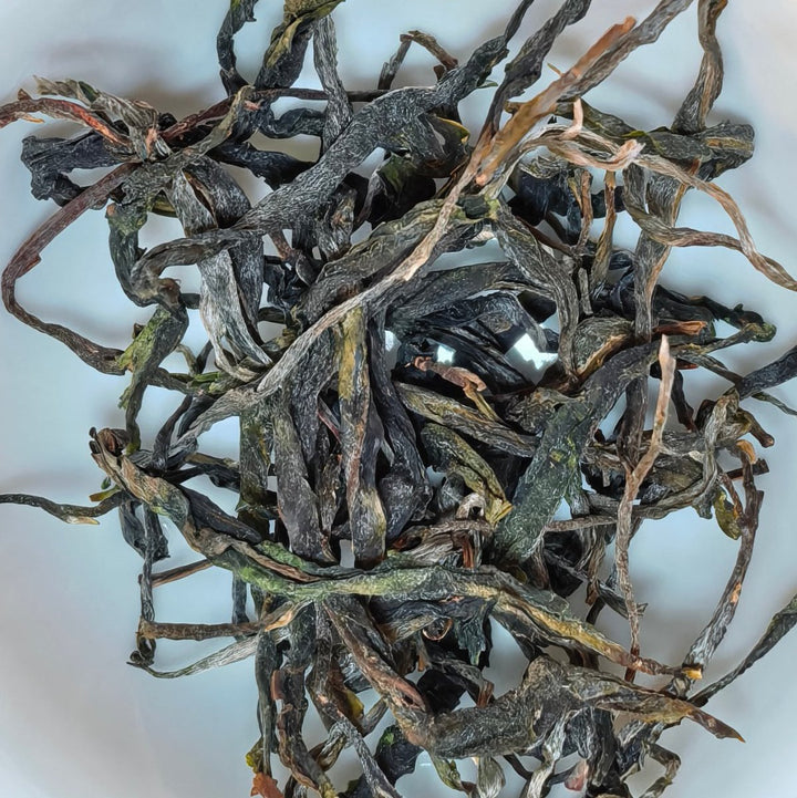 Motherland Ancient Tree Gushu Xigui Raw Puerh - Limited Batch - Tea and Whisk
