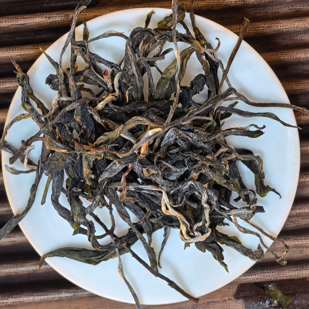 Motherland Ancient Tree Gushu Xigui Raw Puerh - Limited Batch - Tea and Whisk