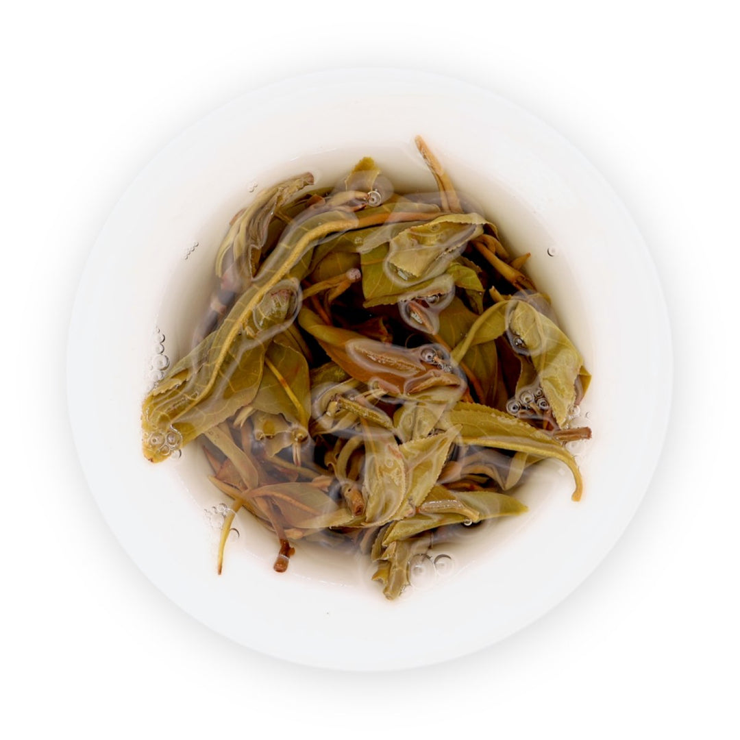 Phoenix Mountain Gushu Raw Puerh - Tea and Whisk