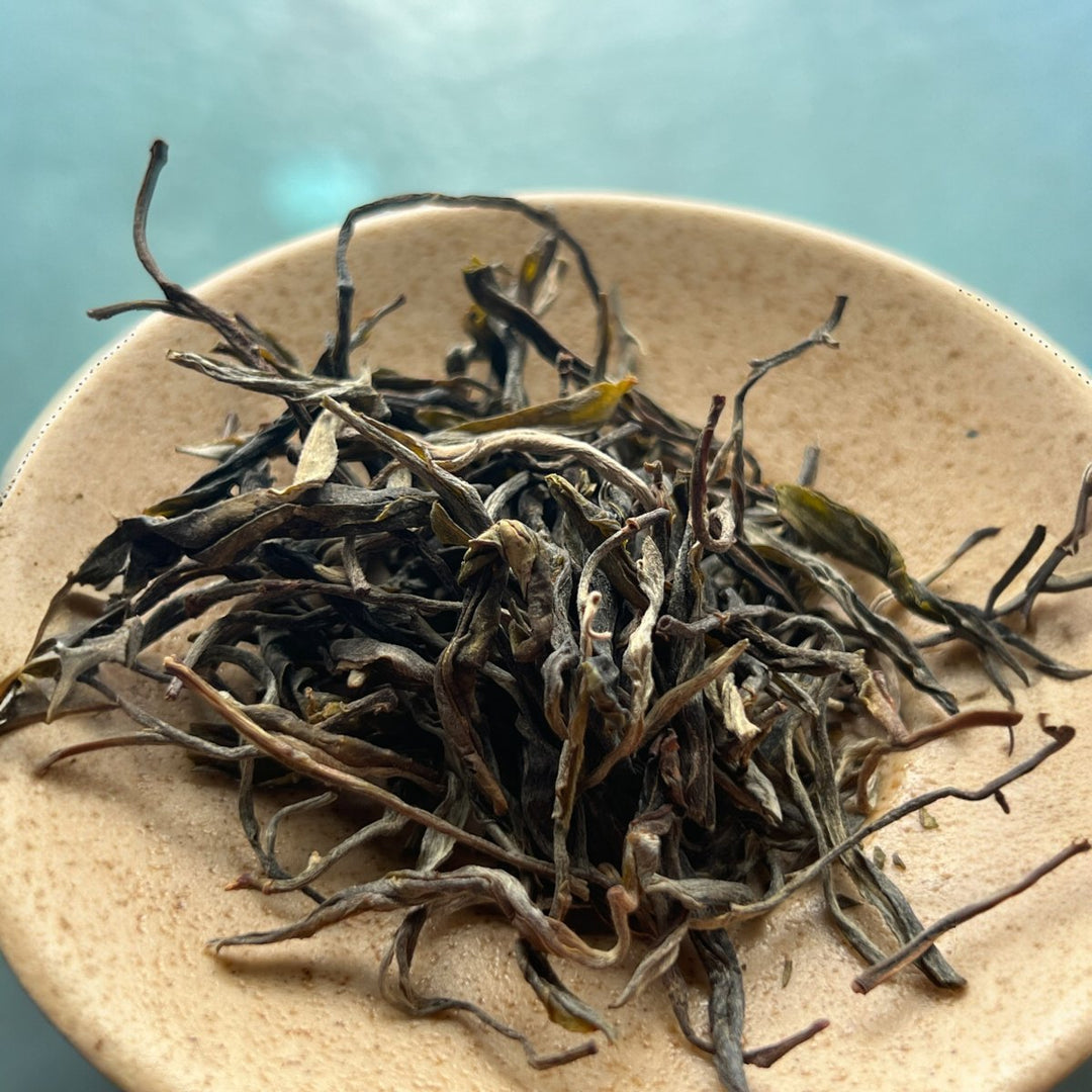 Red Ocean Gushu Raw Puerh - Tea and Whisk