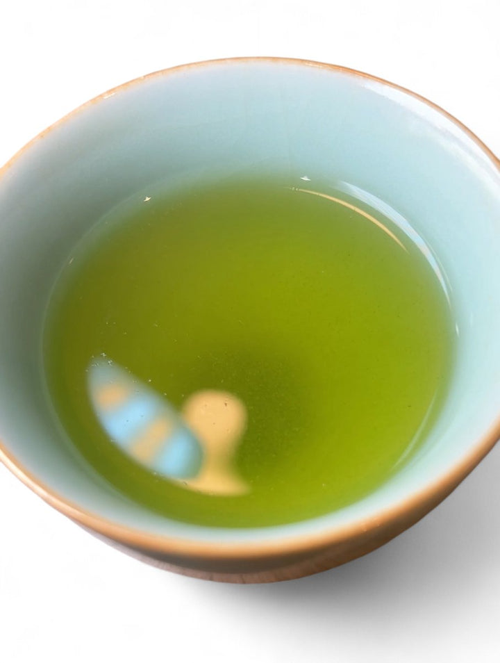 Saga Organic Oku Midori Tamaryokucha - Tea and Whisk