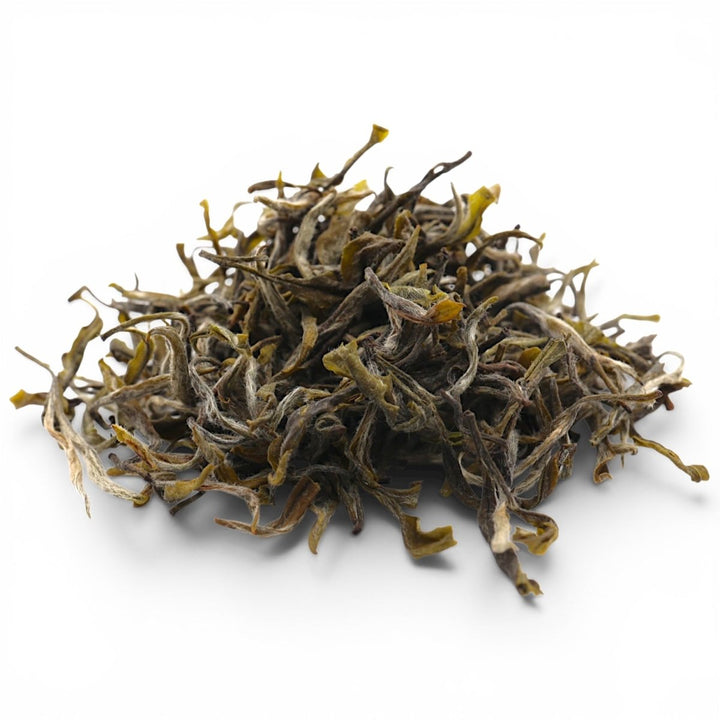 Spring Harvest Mingqian Fengyu Yellow Tea - Tea and Whisk