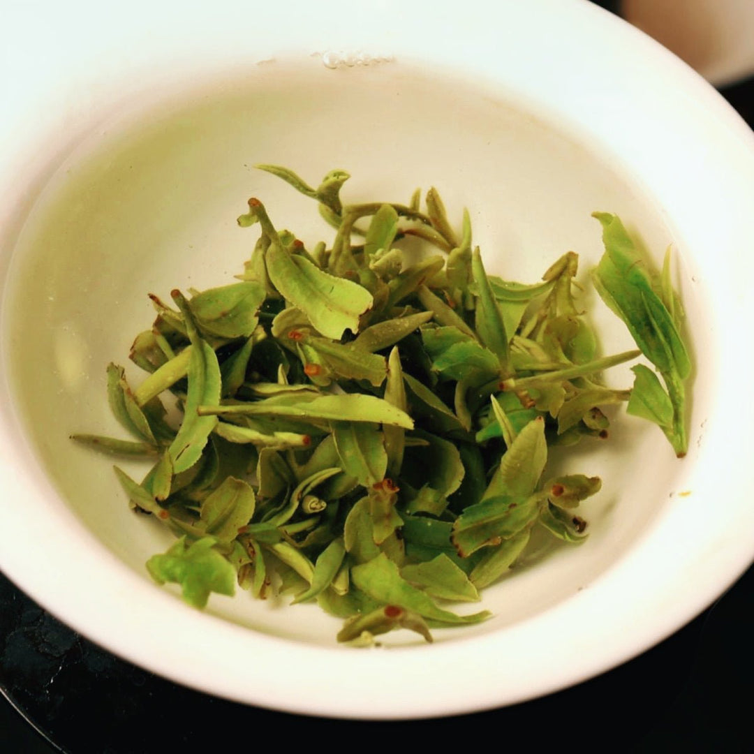 Superior Top Picked Dragon Well Green Tea (Updated June 2025) - Tea and Whisk