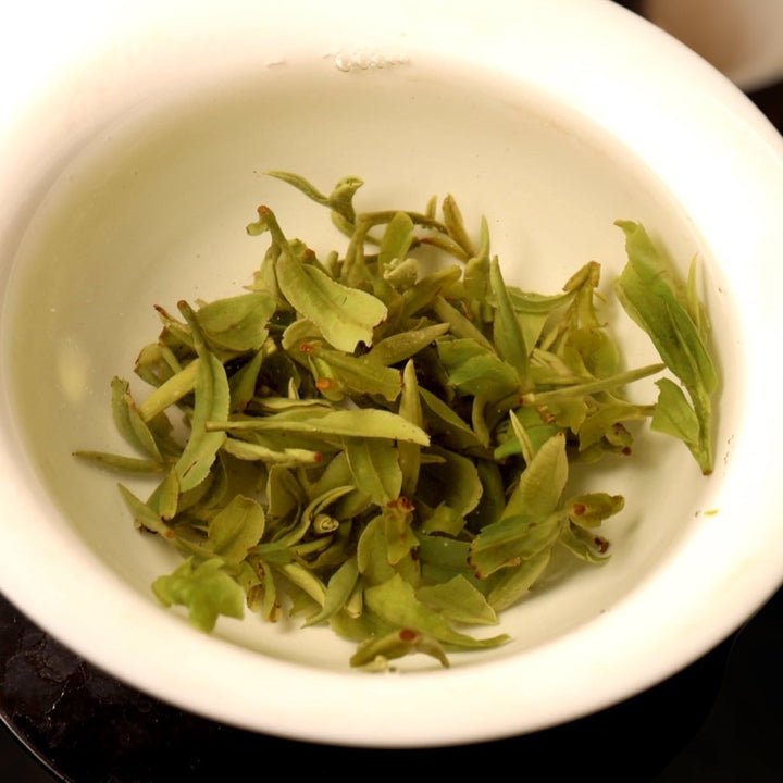 Superior Top Picked Dragon Well Green Tea (Updated Nov 2024) - Tea and Whisk