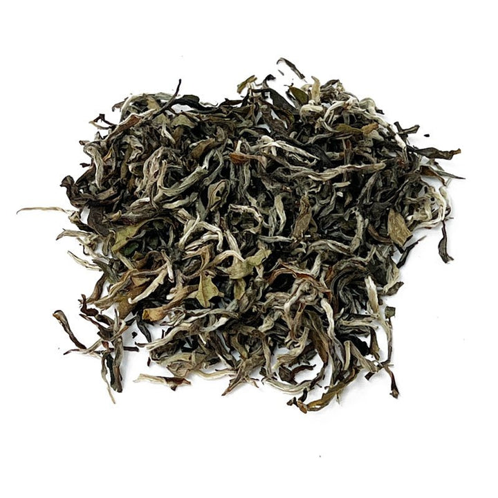 White Forest - Organic Nepal White Tea - Tea and Whisk