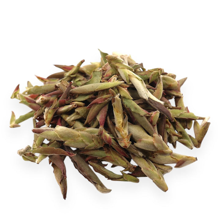 Wild Yunnan Purple Bud - Tea and Whisk