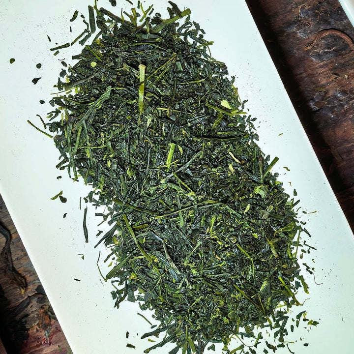 Yame Award Winner Yabukita Hashiri Shincha (Limited Batch 2026 Harvest)