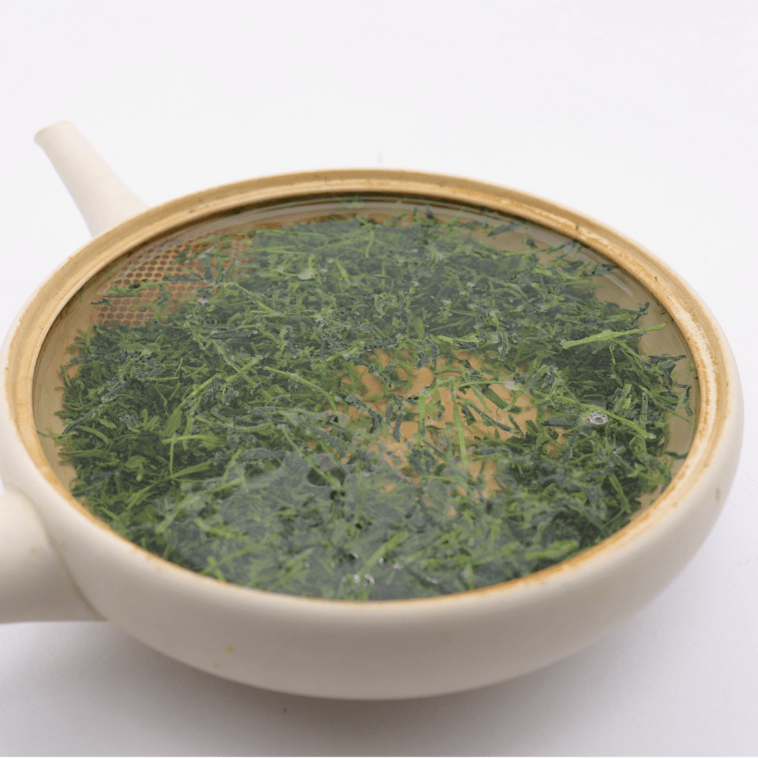 Yame Handpicked Okumidori 3 - Star Dento Hon Gyokuro - Tea and Whisk