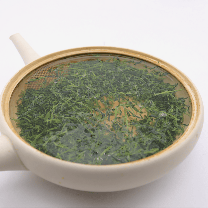 Yame Handpicked Okumidori 3 - Star Dento Hon Gyokuro - Tea and Whisk