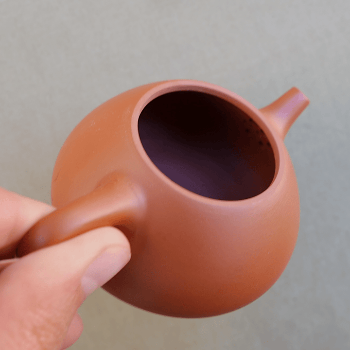Zhuni 80ml Chaozhou Teapot - Tea and Whisk