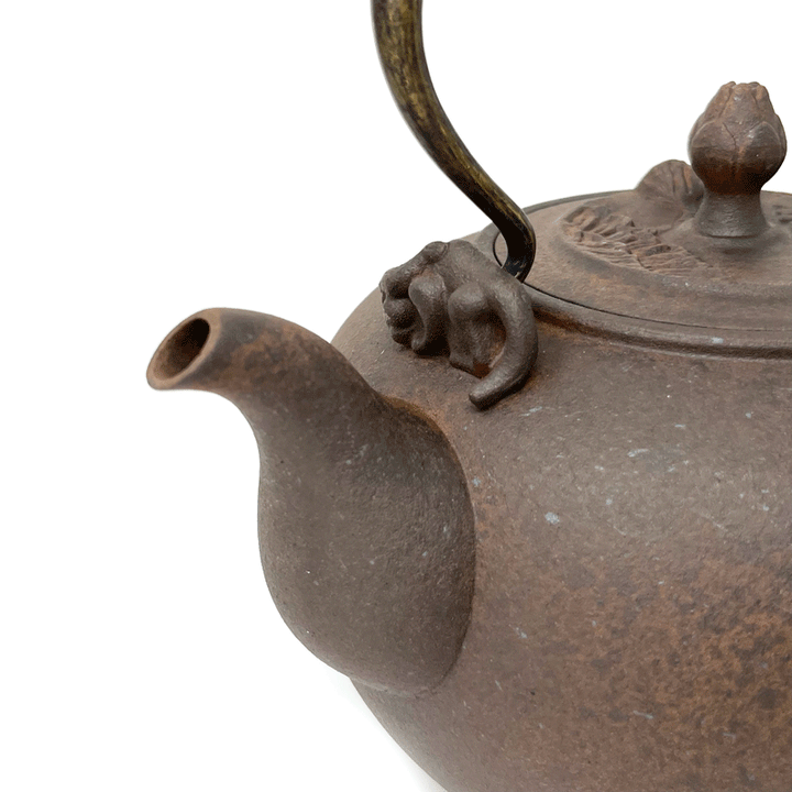 The Five Elements Water Kettle