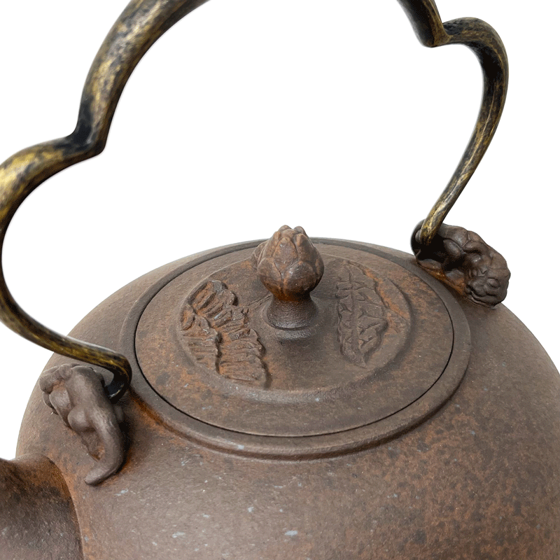 The Five Elements Water Kettle