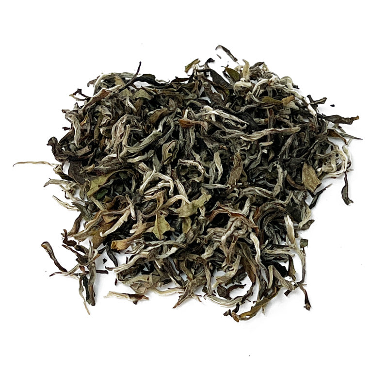 White Forest - Nepal White Tea